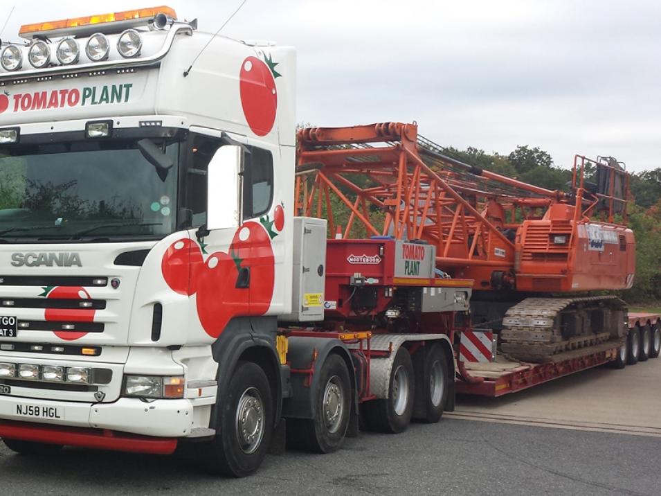 Tomato Plant | Plant Division, 4 Axle Arctic to 86T | Iver, Buckinghamshire & London large 1