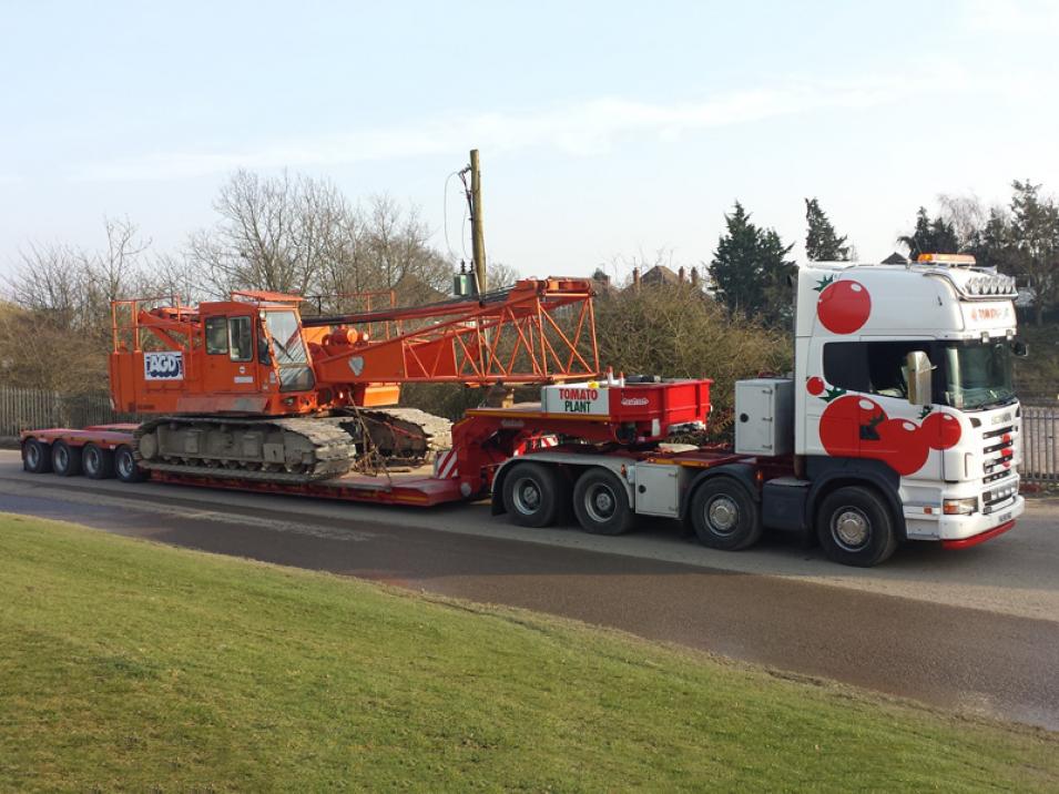 Tomato Plant | Plant Division, 4 Axle Arctic to 86T | Iver, Buckinghamshire & London large 2