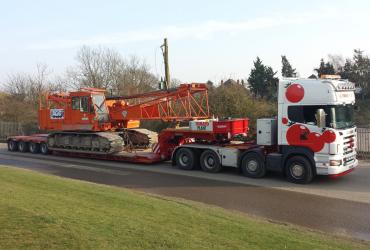 Tomato Plant | Plant Division, 4 Axle Arctic to 86T | Iver, Buckinghamshire & London image 2