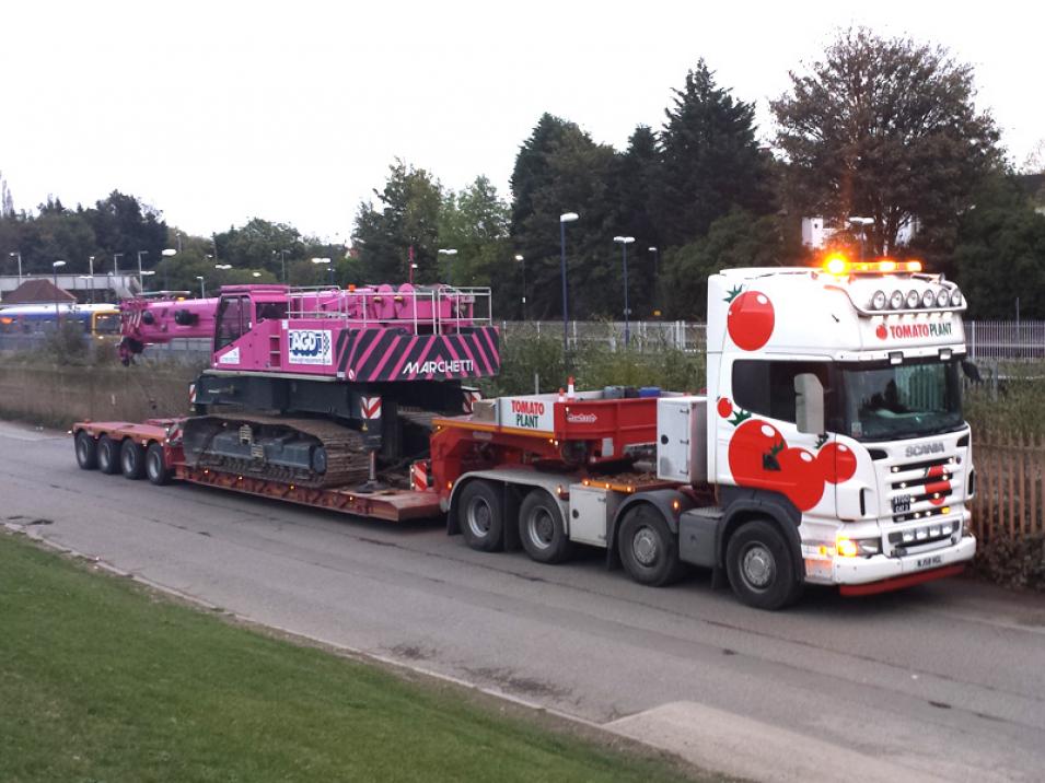 Tomato Plant | Plant Division, 4 Axle Arctic to 86T | Iver, Buckinghamshire & London large 3