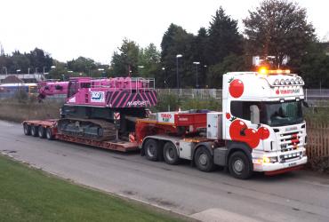 Tomato Plant | Plant Division, 4 Axle Arctic to 86T | Iver, Buckinghamshire & London image 3