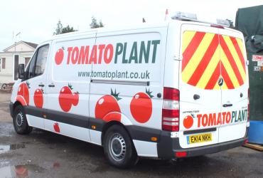 Tomato Plant | Drainage & CCTV Division, Jetting Van Unit | Iver, Buckinghamshire & London image 2