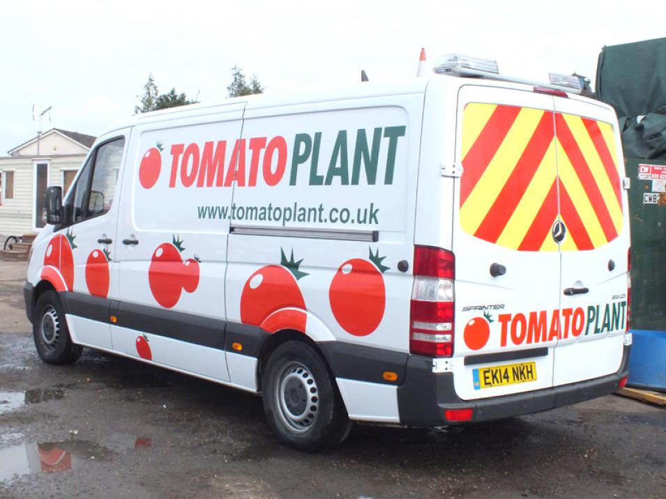 Tomato Plant | Drainage & CCTV Division, Jetting Van Unit | Iver, Buckinghamshire & London large 2