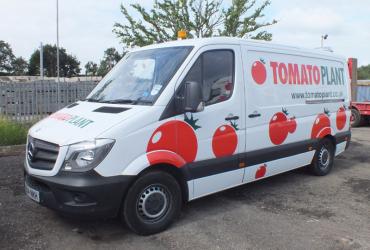 Tomato Plant | Drainage & CCTV Division, Jetting Van Unit | Iver, Buckinghamshire & London image 4
