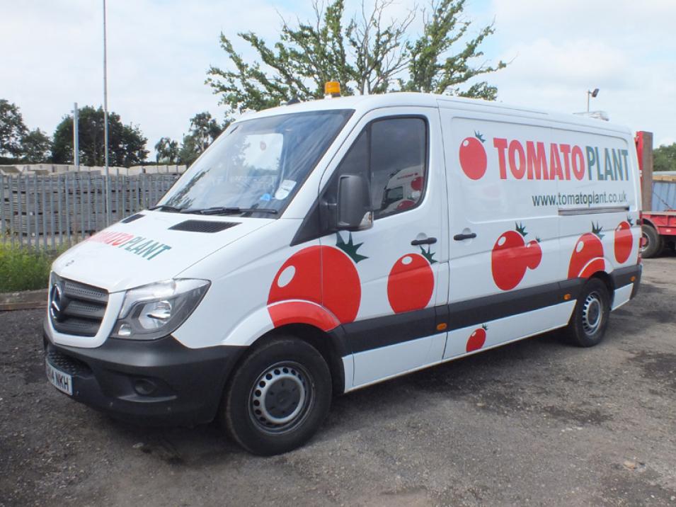 Tomato Plant | Drainage & CCTV Division, Jetting Van Unit | Iver, Buckinghamshire & London large 4