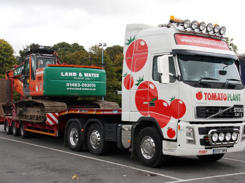 Tomato Plant | Plant Division, 3 Axle Arctic to 35T | Iver, Buckinghamshire & London large 1