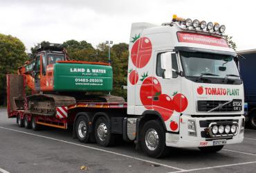 Tomato Plant | Plant Division, 3 Axle Arctic to 35T | Iver, Buckinghamshire & London image 1