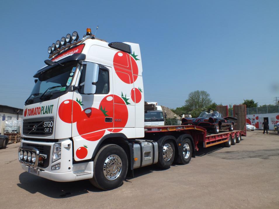 Tomato Plant | Plant Division, 3 Axle Arctic to 35T | Iver, Buckinghamshire & London large 7