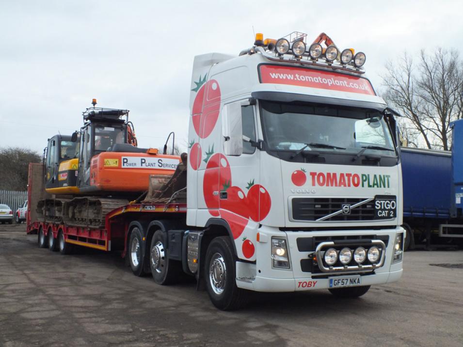 Tomato Plant | Plant Division, 3 Axle Arctic to 35T | Iver, Buckinghamshire & London large 8