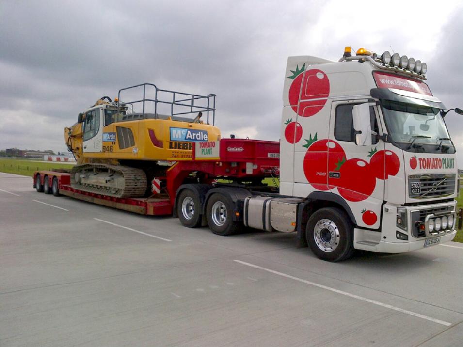 Tomato Plant | Plant Division, 3 Axle Arctic to 35T | Iver, Buckinghamshire & London large 9