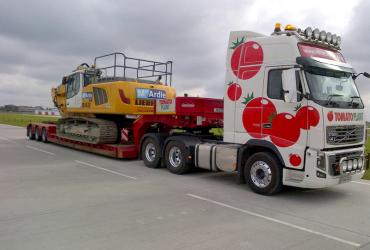 Tomato Plant | Plant Division, 3 Axle Arctic to 35T | Iver, Buckinghamshire & London image 9