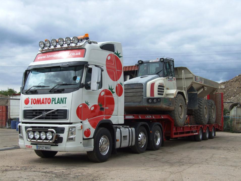 Tomato Plant | Plant Division, 3 Axle Arctic to 35T | Iver, Buckinghamshire & London large 2