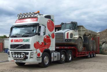 Tomato Plant | Plant Division, 3 Axle Arctic to 35T | Iver, Buckinghamshire & London image 2