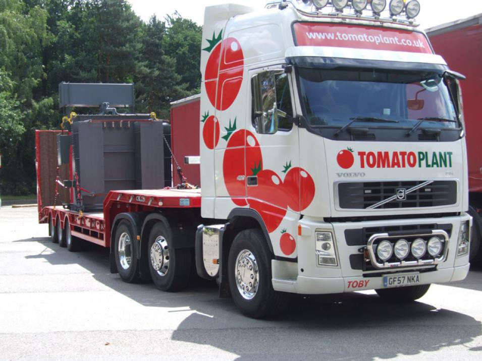 Tomato Plant | Plant Division, 3 Axle Arctic to 35T | Iver, Buckinghamshire & London large 3