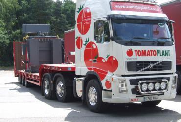 Tomato Plant | Plant Division, 3 Axle Arctic to 35T | Iver, Buckinghamshire & London image 3