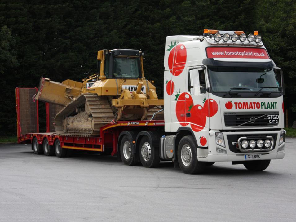 Tomato Plant | Plant Division, 3 Axle Arctic to 35T | Iver, Buckinghamshire & London large 12