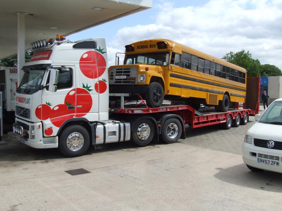 Tomato Plant | Plant Division, 3 Axle Arctic to 35T | Iver, Buckinghamshire & London large 13