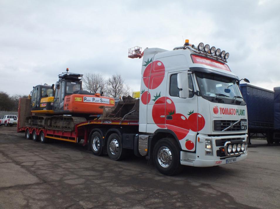 Tomato Plant | Plant Division, 3 Axle Arctic to 35T | Iver, Buckinghamshire & London large 4