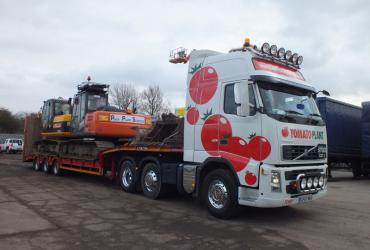 Tomato Plant | Plant Division, 3 Axle Arctic to 35T | Iver, Buckinghamshire & London image 4