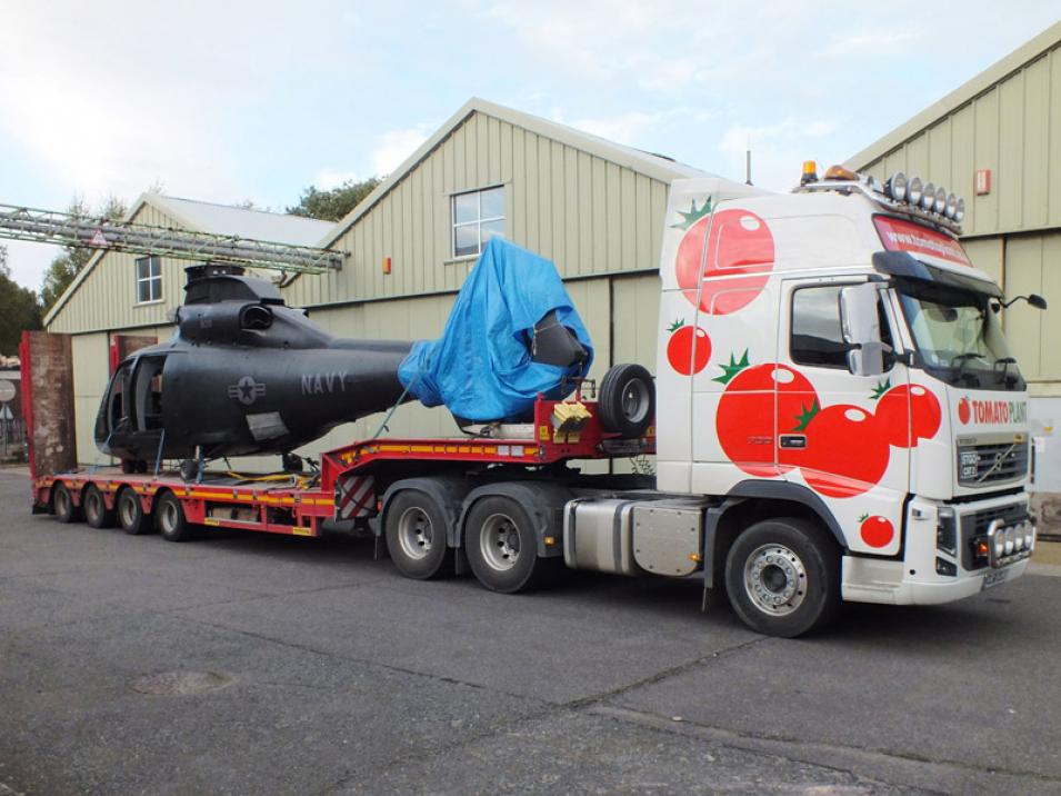Tomato Plant | Plant Division, 3 Axle Arctic to 35T | Iver, Buckinghamshire & London large 14