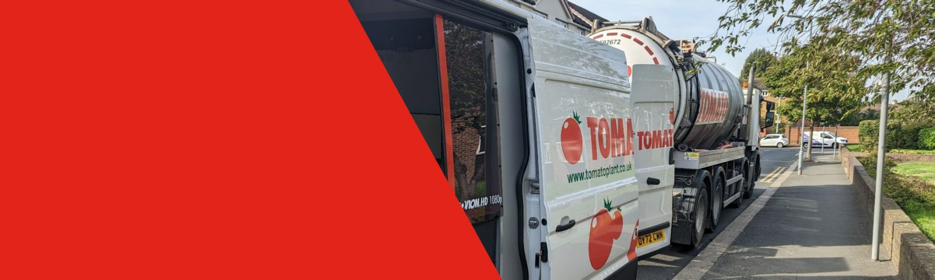 tomato plant rigid beavertail truck