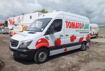 Tomato Plant | Drainage & CCTV Division, CCTV Van Unit | Iver, Buckinghamshire & London image 1