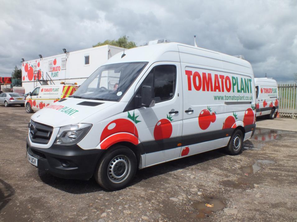 Tomato Plant | Drainage & CCTV Division, CCTV Van Unit | Iver, Buckinghamshire & London large 1