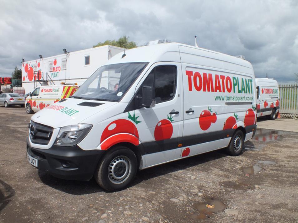 Tomato Plant | Drainage & CCTV Division, CCTV Van Unit | Iver, Buckinghamshire & London large 1