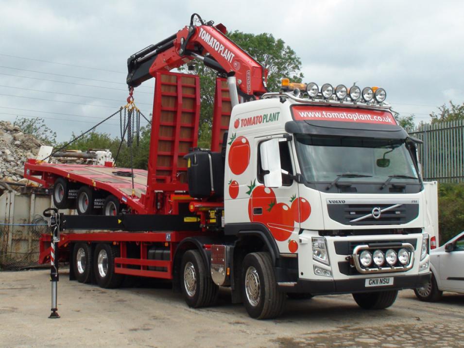 Tomato Plant | Plant Division, Self Loading Rigid to 12T | Iver, Buckinghamshire & London large 7