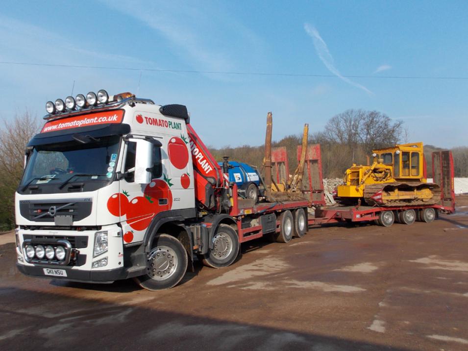 Tomato Plant | Plant Division, Self Loading Rigid to 12T | Iver, Buckinghamshire & London large 8