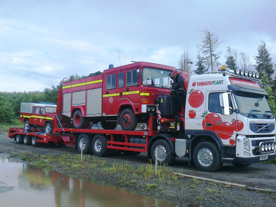 Tomato Plant | Plant Division, Self Loading Rigid to 12T | Iver, Buckinghamshire & London large 9