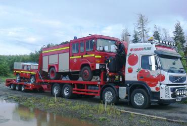 Tomato Plant | Plant Division, Self Loading Rigid to 12T | Iver, Buckinghamshire & London image 9