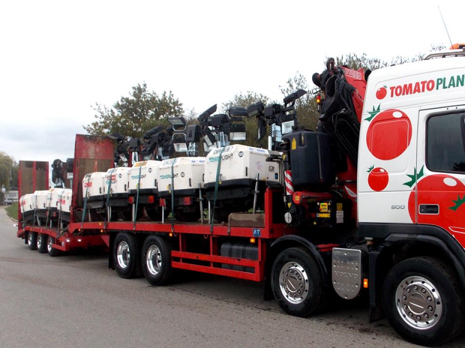 Tomato Plant | Plant Division, Self Loading Rigid to 12T | Iver, Buckinghamshire & London large 10