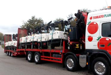 Tomato Plant | Plant Division, Self Loading Rigid to 12T | Iver, Buckinghamshire & London image 10