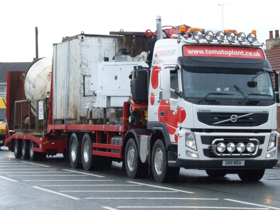 Tomato Plant | Plant Division, Self Loading Rigid to 12T | Iver, Buckinghamshire & London large 11