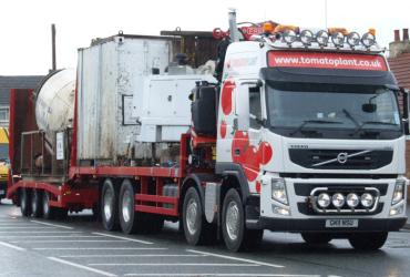 Tomato Plant | Plant Division, Self Loading Rigid to 12T | Iver, Buckinghamshire & London image 11