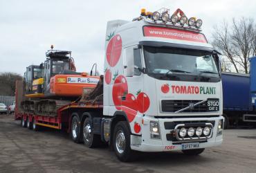 Tomato Plant | Plant Division, 3 Axle Arctic to 35T | Iver, Buckinghamshire & London image 8