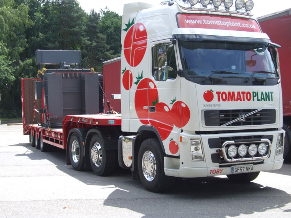 Tomato Plant | Plant Division, 3 Axle Arctic to 35T | Iver, Buckinghamshire & London large 3