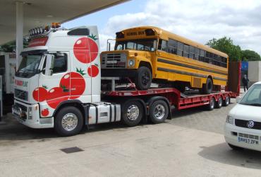 Tomato Plant | Plant Division, 3 Axle Arctic to 35T | Iver, Buckinghamshire & London image 13