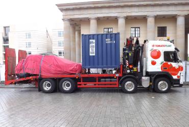 Tomato Plant | Plant Division, Self Loading Rigid to 12T | Iver, Buckinghamshire & London image 2