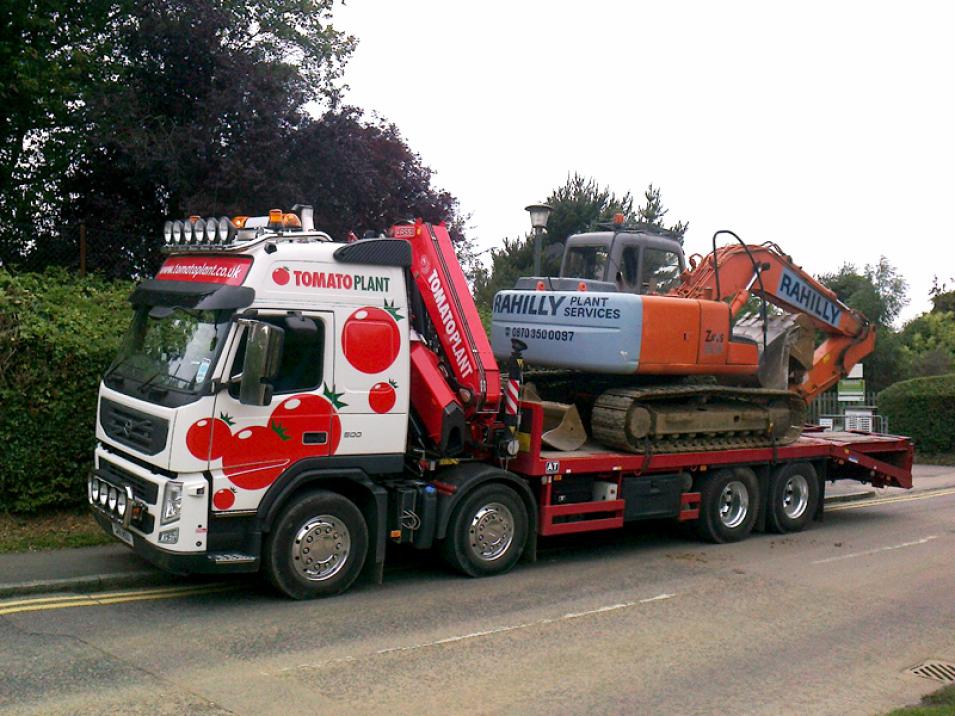 Tomato Plant | Plant Division, Self Loading Rigid to 12T | Iver, Buckinghamshire & London large 3