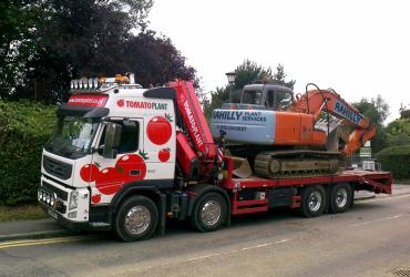 Tomato Plant | Plant Division, Self Loading Rigid to 12T | Iver, Buckinghamshire & London image 3