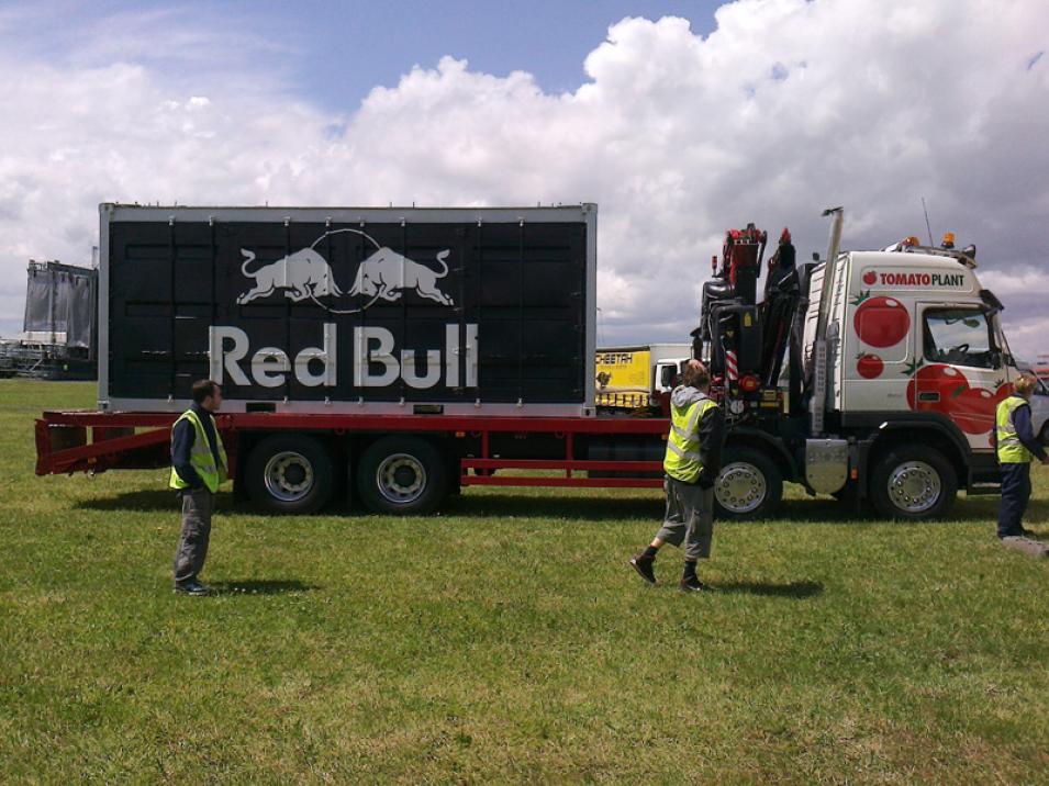 Tomato Plant | Plant Division, Self Loading Rigid to 12T | Iver, Buckinghamshire & London large 6