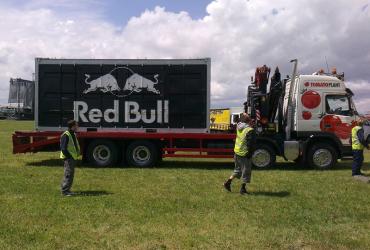 Tomato Plant | Plant Division, Self Loading Rigid to 12T | Iver, Buckinghamshire & London image 6