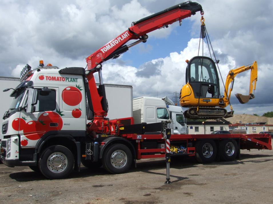 Tomato Plant | Plant Division, Self Loading Rigid to 12T | Iver, Buckinghamshire & London large 4