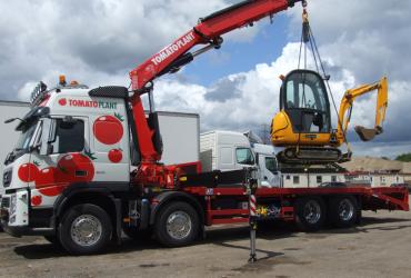 Tomato Plant | Plant Division, Self Loading Rigid to 12T | Iver, Buckinghamshire & London image 4