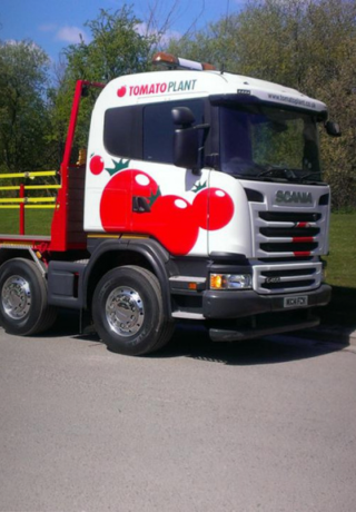 Tomato Plant Rigid Beavertail Truck