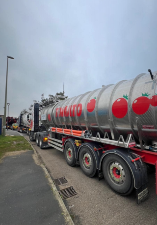 tomato plant 4k 6k tankers