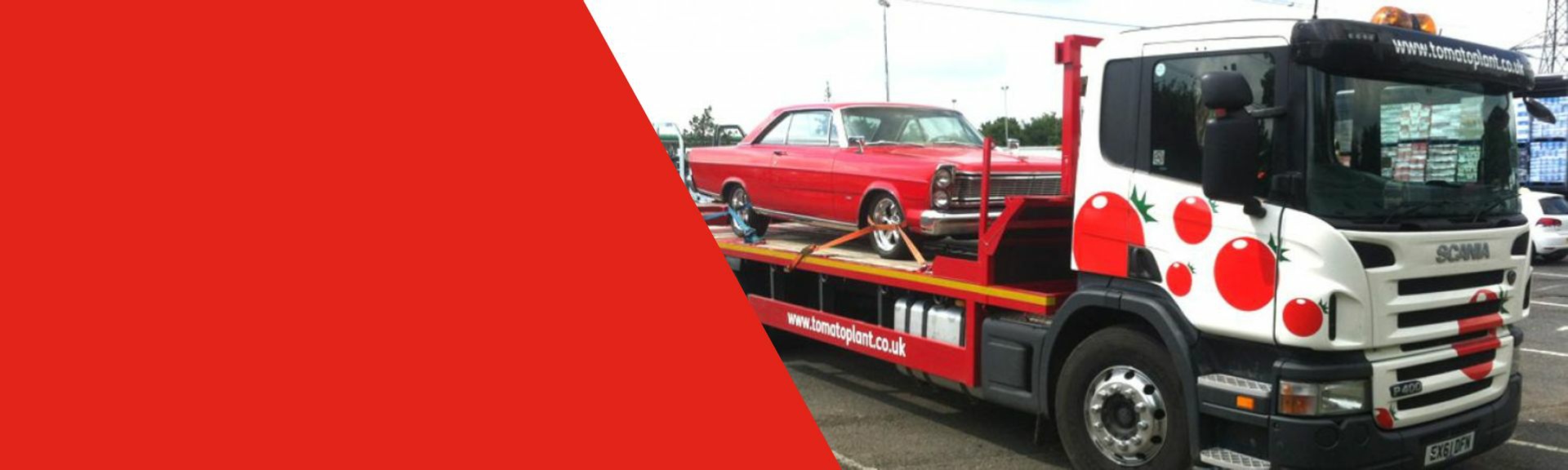 tomato plant rigid beavertail truck
